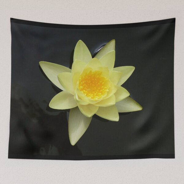 Item preview, Floating yellow lily head designed and sold by PPFImages.