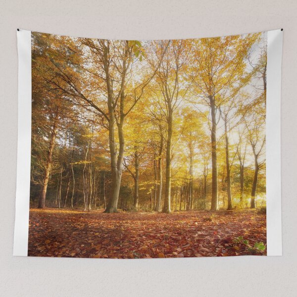 Item preview, Autumn forest landscape at sunrise designed and sold by simonbratt.