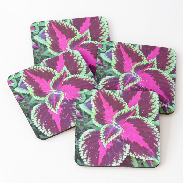 Item preview, Variegated purple Coleus leaves designed and sold by PPFImages.