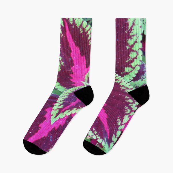 Item preview, Variegated purple Coleus leaves designed and sold by PPFImages.