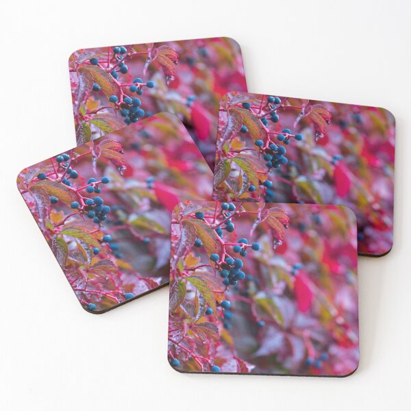 Item preview, Autumn berries designed and sold by iCimages.net.