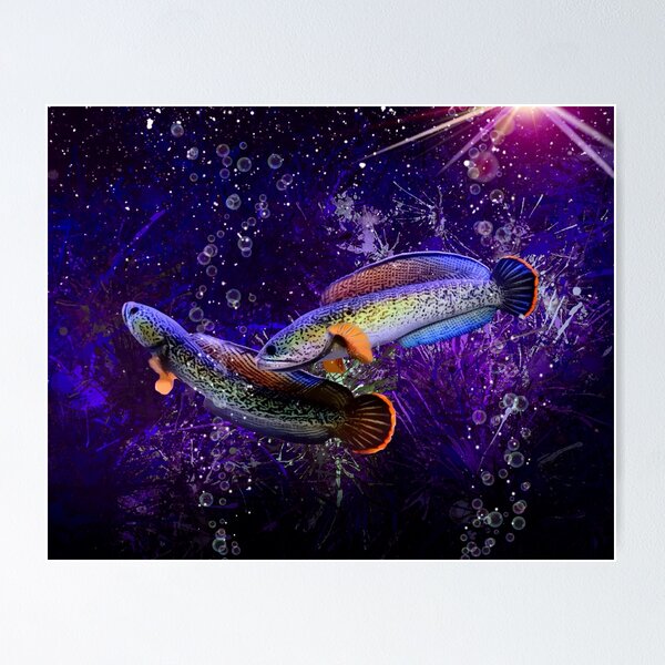 Snakehead Posters for Sale