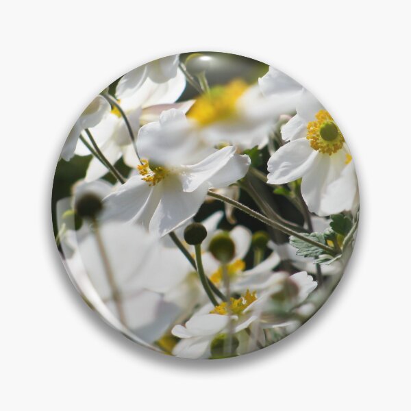 Item preview, Flower Photography blooming white flowers with yellow center designed and sold by photos-thoughts.