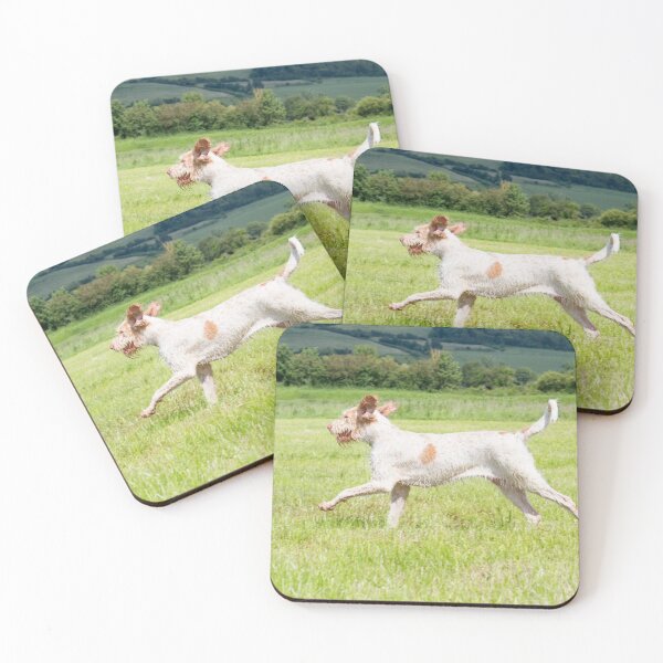 Item preview, Freedom is Spinone designed and sold by FOLK ART FUSION by heidiannemorris.