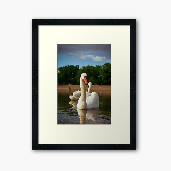 Item preview, Donald Swan designed and sold by Jan Anicic.
