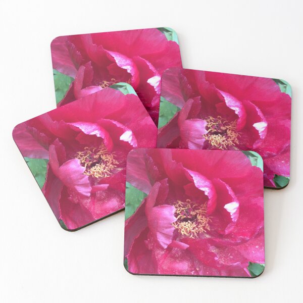 Item preview, Peony’s. “The Bold Flower” designed and sold by Angela Haig-Harrison.
