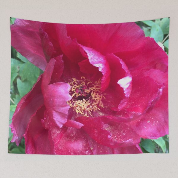 Item preview, Peony’s. “The Bold Flower” designed and sold by Angela Haig-Harrison.
