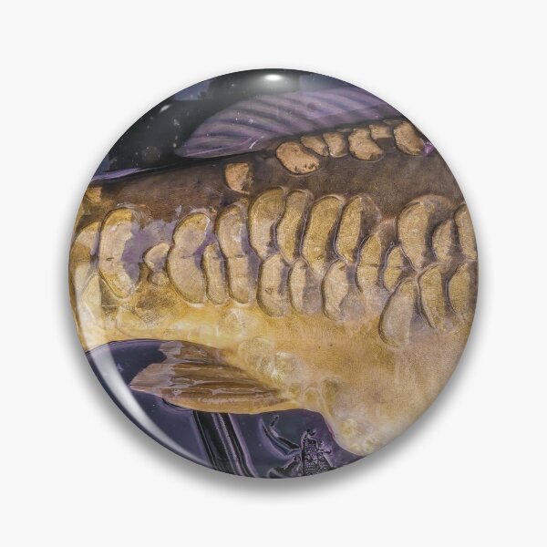 Item preview, Mirror carp designed and sold by mary02.