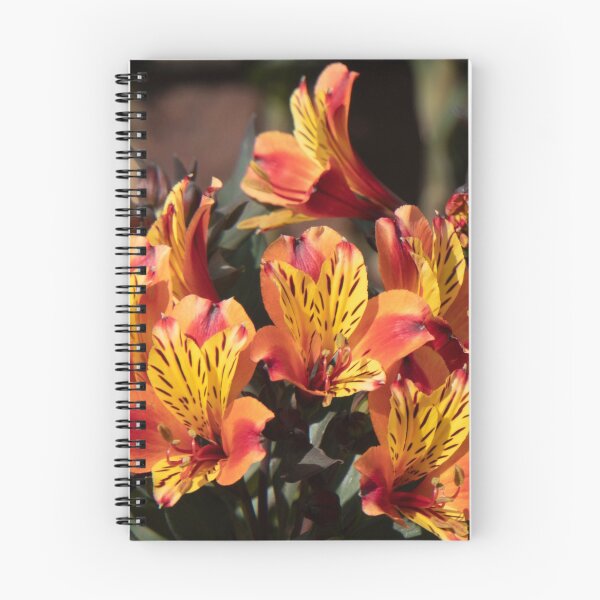 Item preview, Orange Salpiglossis Flowers designed and sold by SMartin.