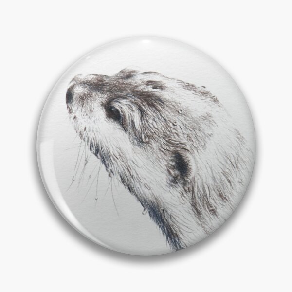 Short Clawed Asian Otter Study 1_1 Pin