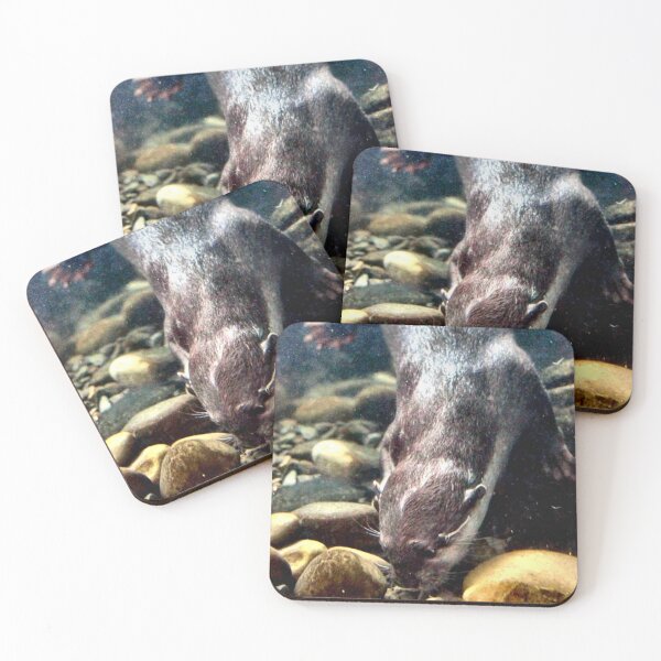 Item preview, Searching for sustenance designed and sold by missmoneypenny.