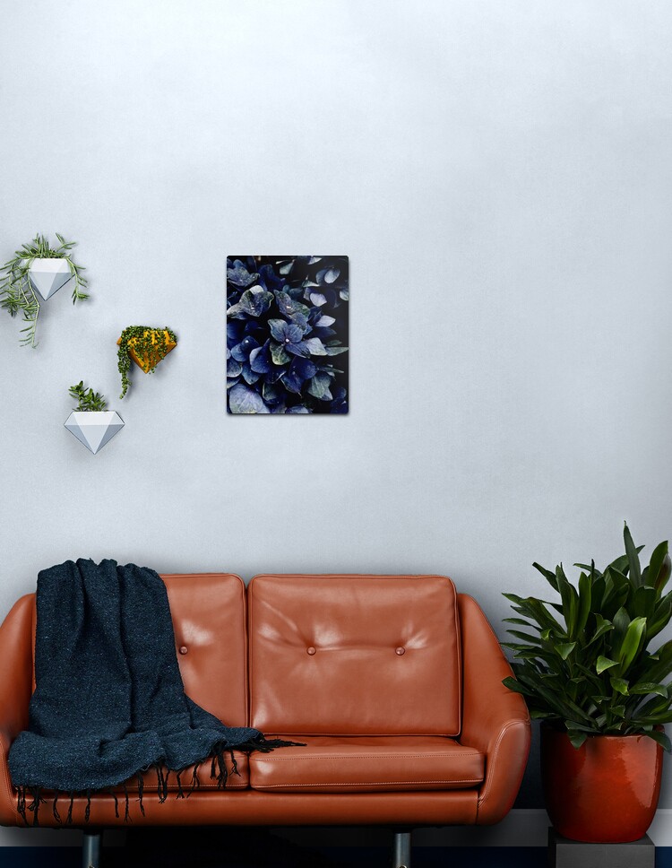 Lámina metálica «Hortensia Azul Oscuro Floral» de SweetDominique | Redbubble