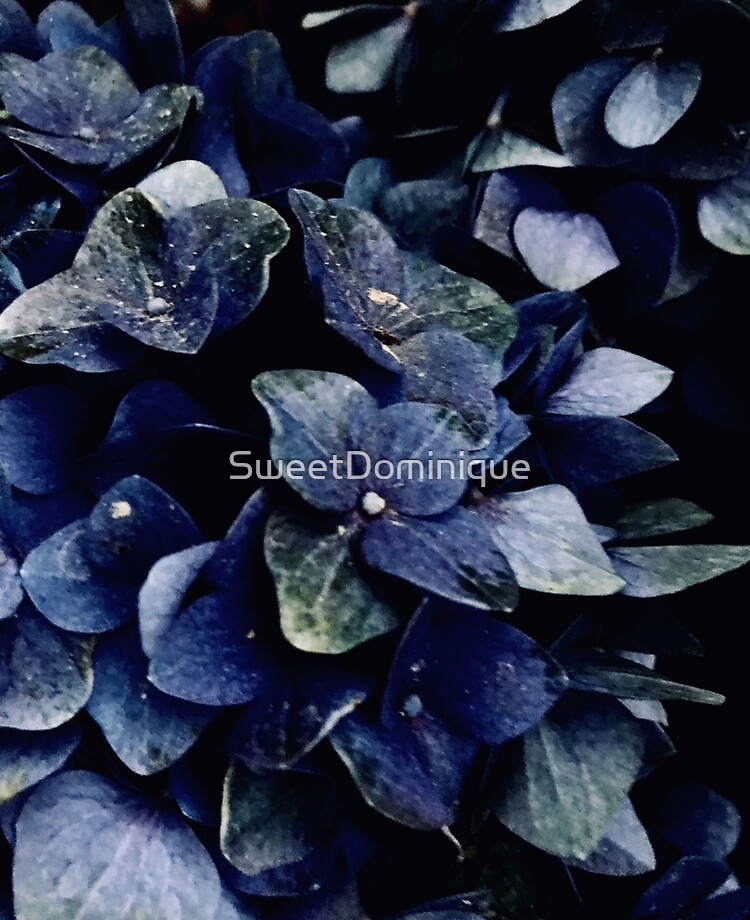 Funda y vinilo para iPad «Hortensia Azul Oscuro Floral» de SweetDominique |  Redbubble