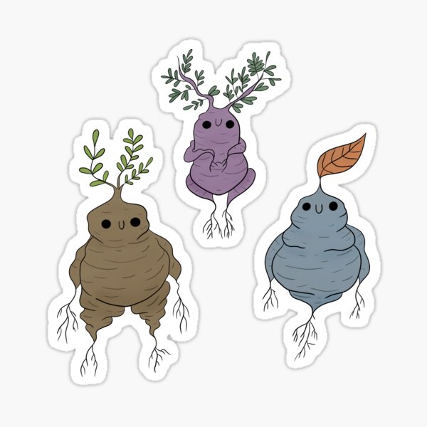 3 Mandrakes Sticker