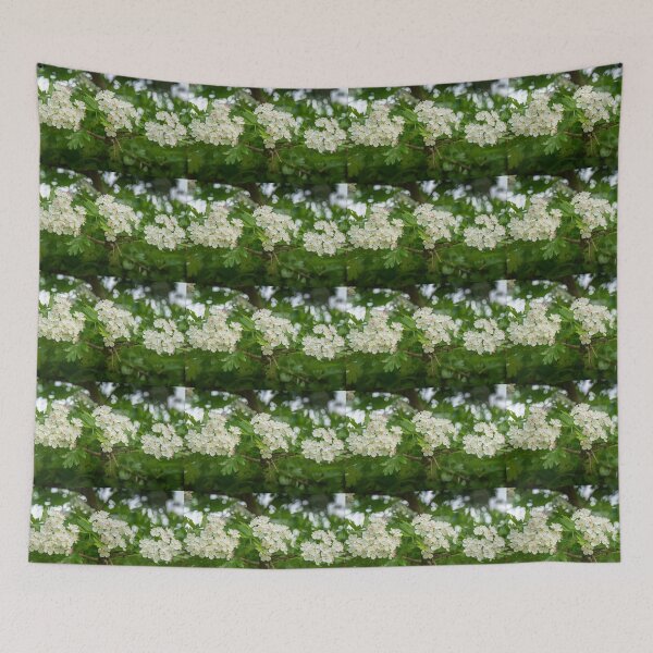 Item preview, Hawthorn Blossom designed and sold by SMartin.