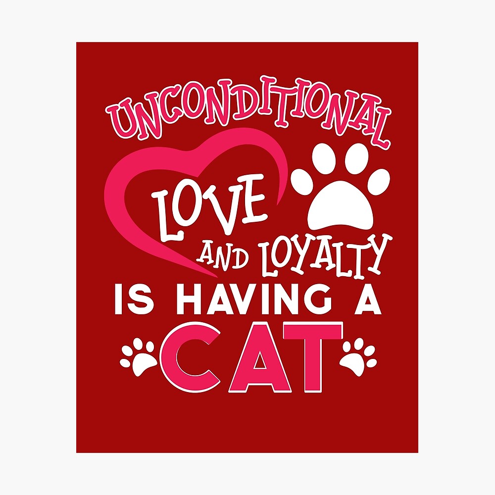 Cat Love Gift Lover Cat Quotes Tee Funny Graphic Cat Gif Cats Funnels Poster By Family1ststore Redbubble