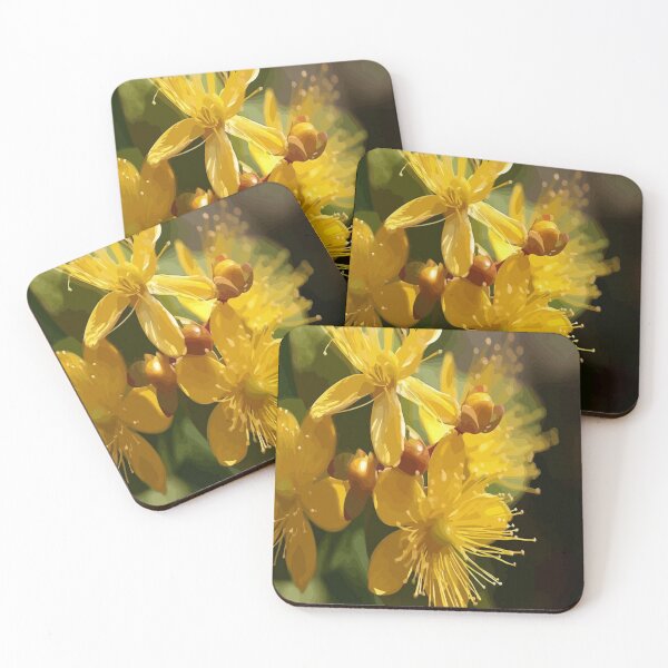 Item preview, Turkish St Johns Wort Wild Flower Vector designed and sold by taiche.
