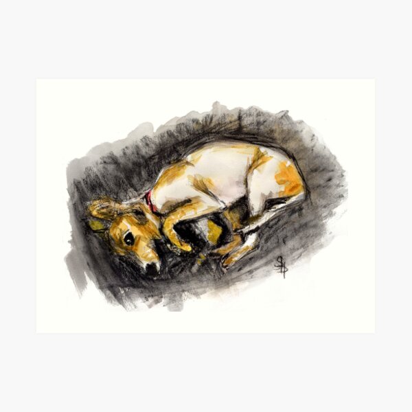 Caught Art Print