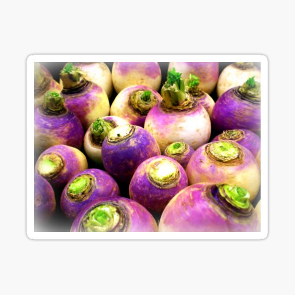 Item preview, **Turnips** at Greengrocer  designed and sold by EdsMum.