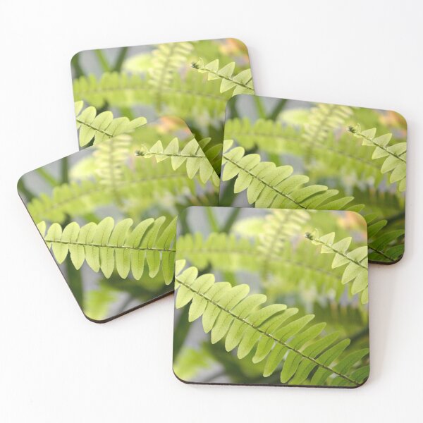 Item preview, Fresh Translucent Ferns - Nature designed and sold by joejiing.