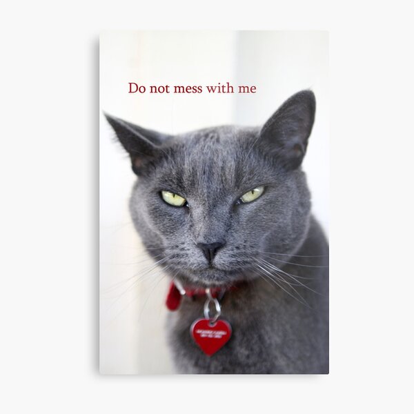 Do not mess with me Metal Print