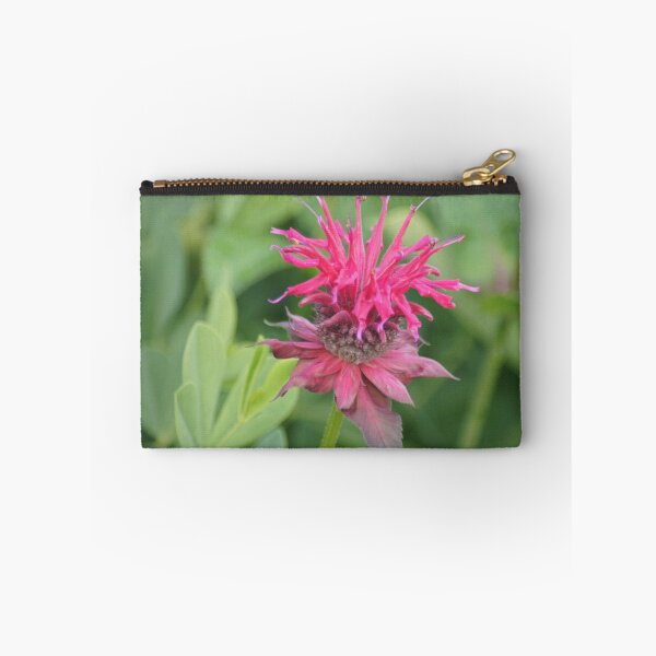 Item preview, Bee-balm designed and sold by Lorelle Gromus.