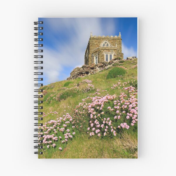 Item preview, Thrift at Doyden Castle (Port Quin) designed and sold by bitm2007.