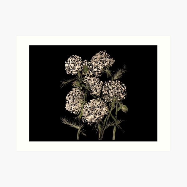 STUDY Art Print