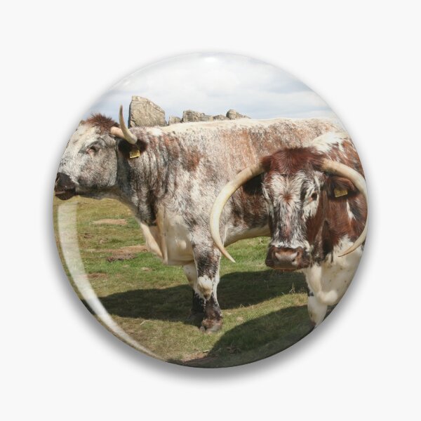 Item preview, english longhorn cattle designed and sold by markspics.