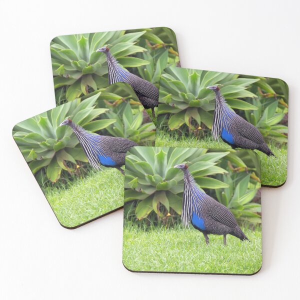 Item preview, Vulturine Guineafowl (Acryllium vulturinum) designed and sold by Yair Karelic.