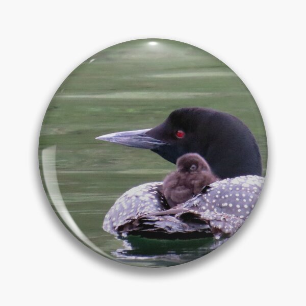 Item preview, Loon with Chick on its Back designed and sold by Debbie Center.