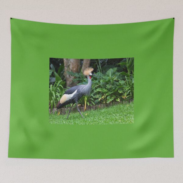 Item preview, Grey Crowned Crane (Balearica regulorum) designed and sold by Yair Karelic.