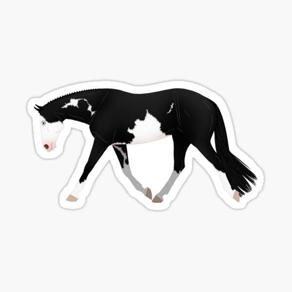 "Black Overo Paint Horse Equine Rampaige" Sticker for Sale by