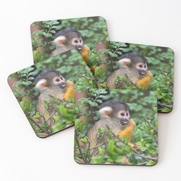 Item preview, Black-Capped Squirrel Monkey (Saimiri boliviensis) designed and sold by Yair Karelic.