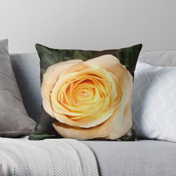 Only a Rose, Vancouver, BC Throw Pillow
