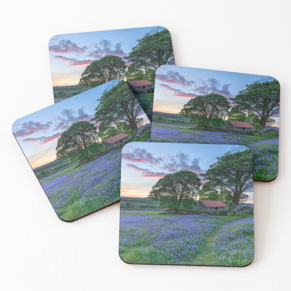 Item preview, Bluebells at sunset (Emsworthy Mire)  designed and sold by bitm2007.