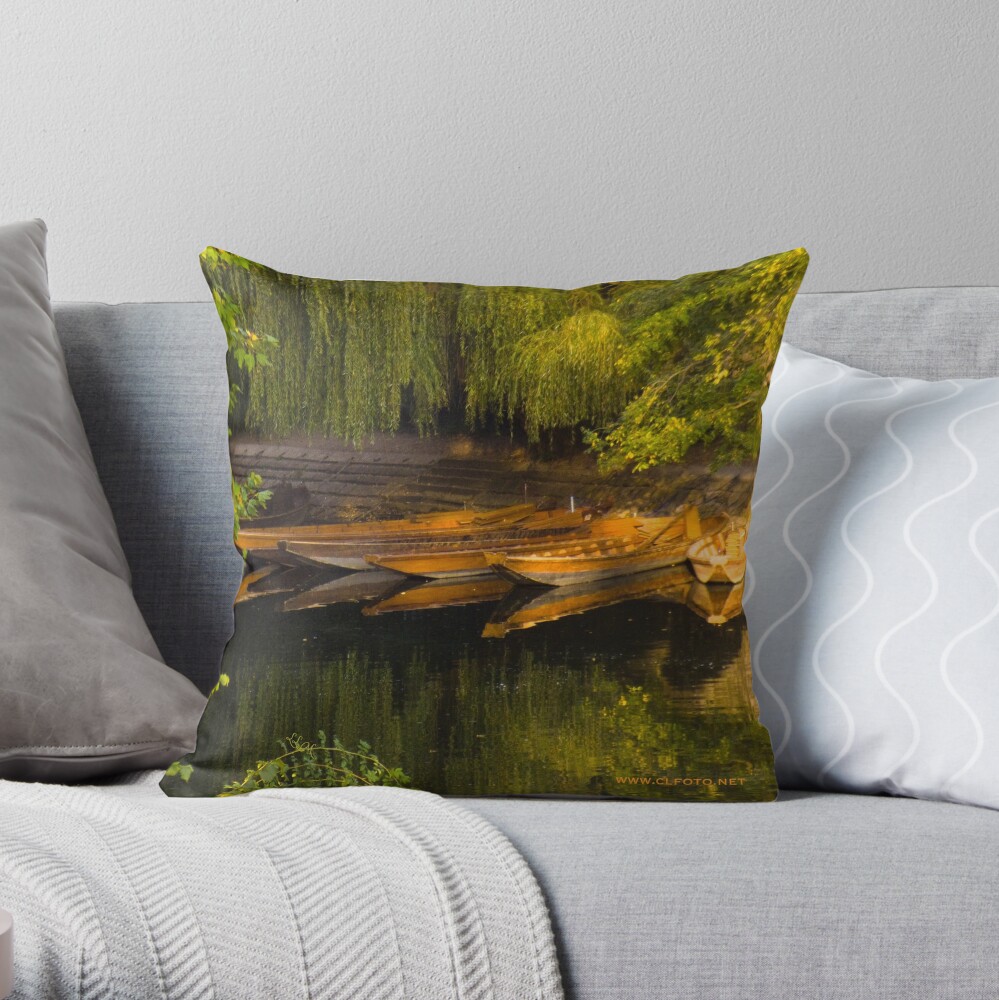 Item preview, Throw Pillow designed and sold by leemcintyre.
