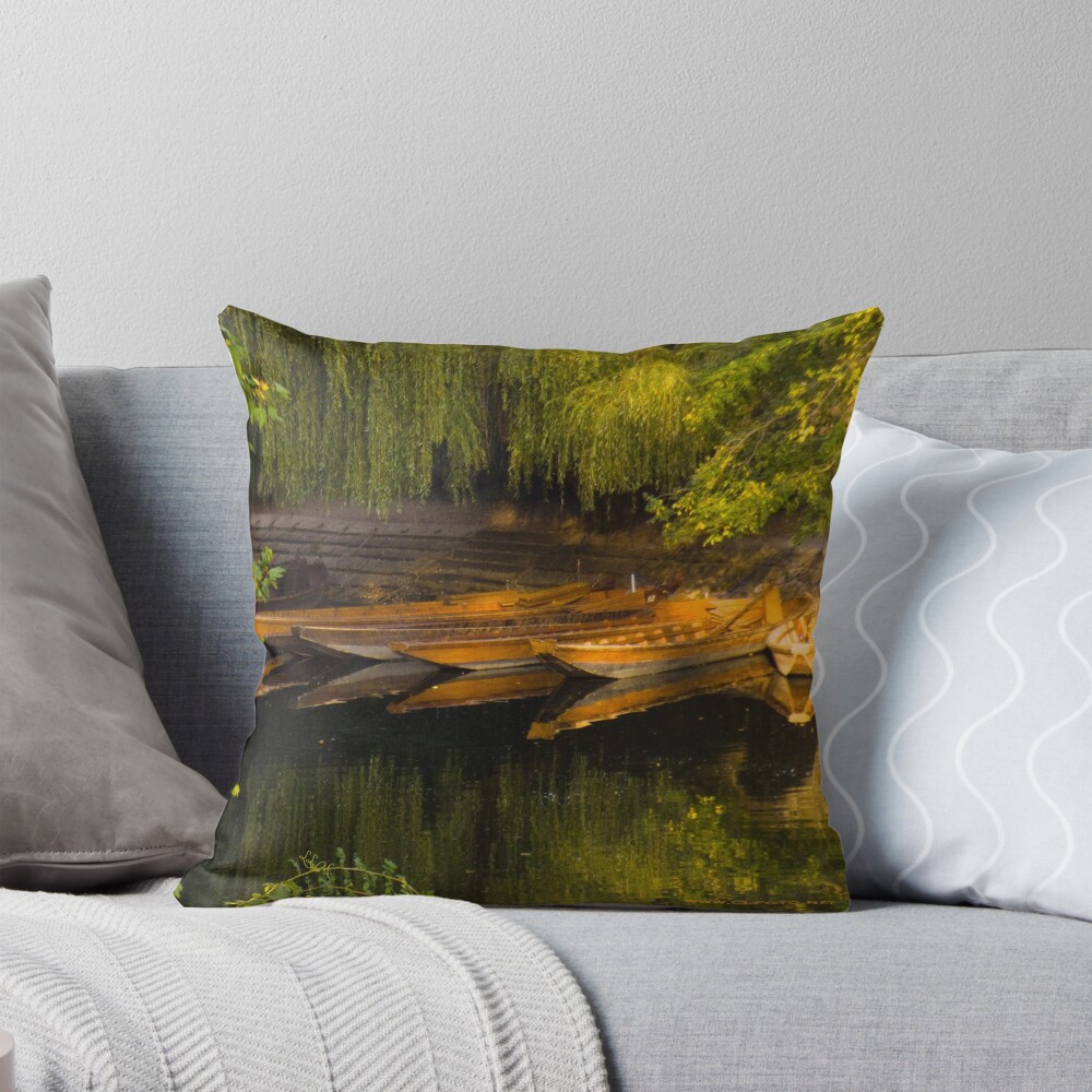 Item preview, Throw Pillow designed and sold by leemcintyre.