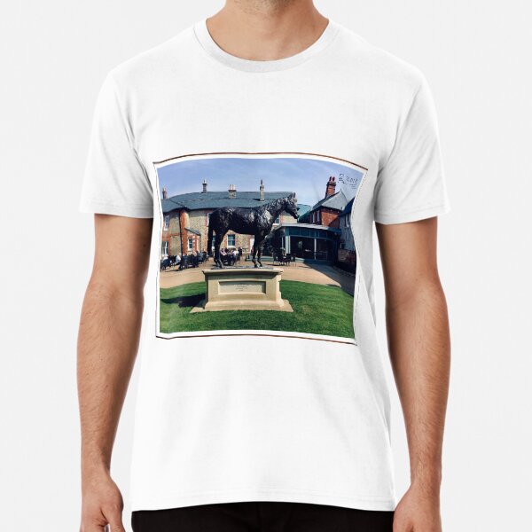 "Frankel racehorse legend (Newmarket adventure card collection)" T