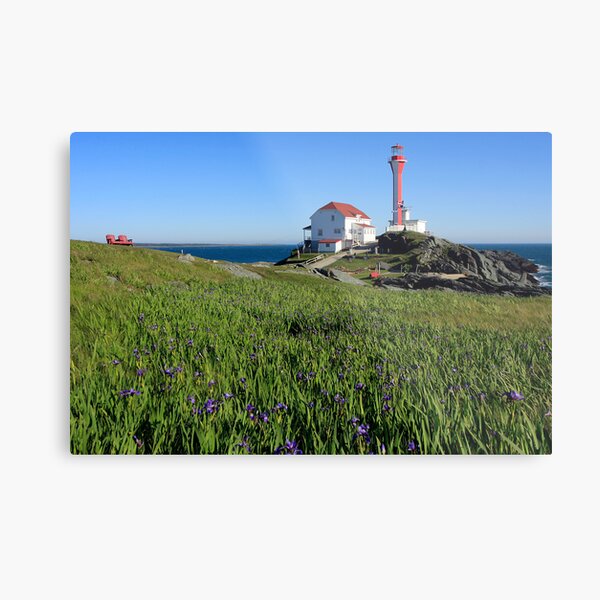 A Nice Spot on a Sunny Day Metal Print