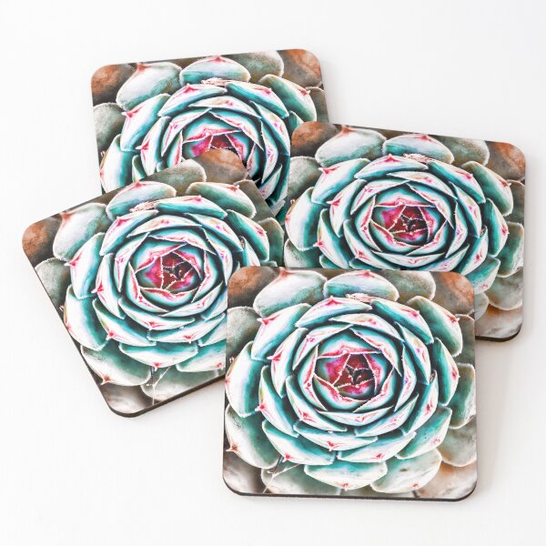 Item preview, Beautiful colorful sempervivum succulent houseleek plant in spring designed and sold by Grégory DUBUS.
