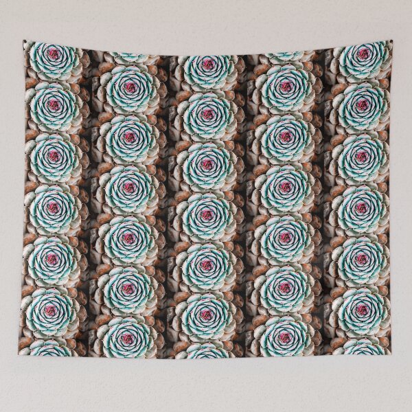 Item preview, Beautiful colorful sempervivum succulent houseleek plant in spring designed and sold by Grégory DUBUS.