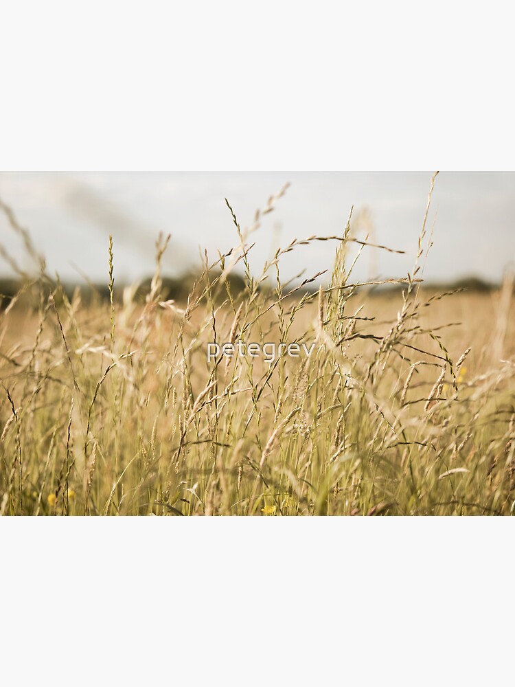 Day 344 - 18th June 2012 by petegrev