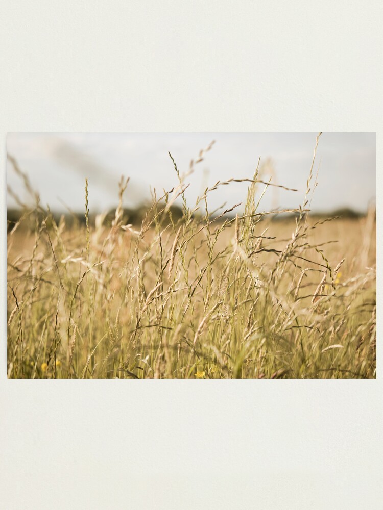 Alternate view of Day 344 - 18th June 2012 Photographic Print