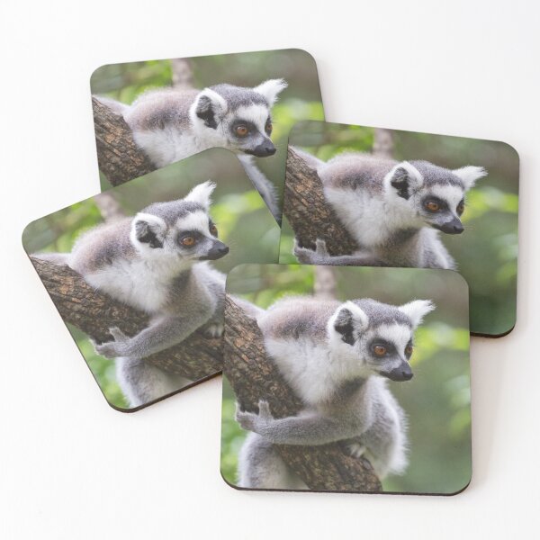 Item preview, Ring-Tailed Lemur (Lemur catta) designed and sold by Yair Karelic.
