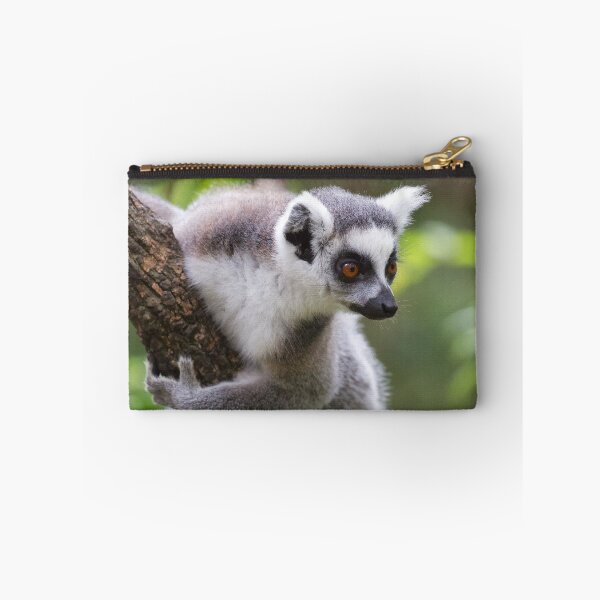 Item preview, Ring-Tailed Lemur (Lemur catta) designed and sold by Yair Karelic.