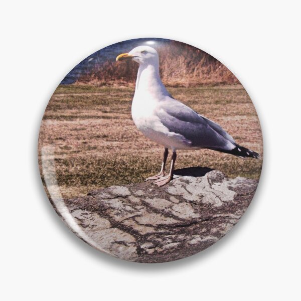 Item preview, gull rock  designed and sold by RenderlyYours.