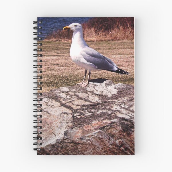 Item preview, gull rock  designed and sold by RenderlyYours.