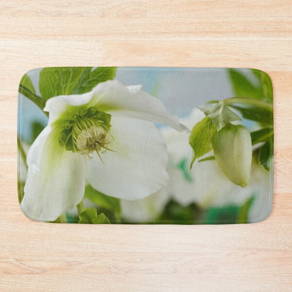 Item preview, Helleborus x hybridus  'Pretty Ellen White'  Hellebore  designed and sold by Chris Burrows.