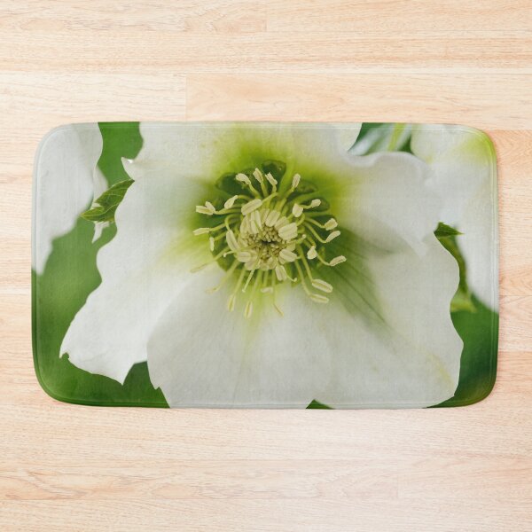 Item preview, Helleborus x hybridus  'Pretty Ellen White'  Hellebore  designed and sold by Chris Burrows.